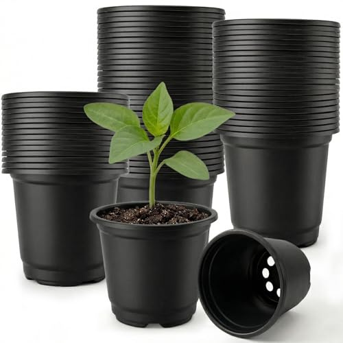 Feruchun 100 Pieces Pot Semis Rond,Pot de Repiquage 10cm,Pots de Fleurs Plastique,Réutilisables Pot de Culture pour Plantation Intérieure et Extérieure (Noir)