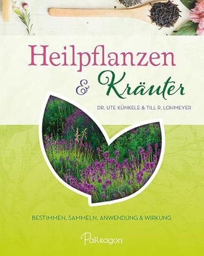 Heilpflanzen & Kräuter: Bestimmen, Sammeln, Anwendung und Wirkung: Bestimmen, Sammeln, Anwendung & Wirkung