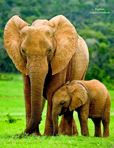 Elephant Unruled Notebook: Unruled, blank notebook. No lines. No page numbers. Glossy cover with image on front and back. Full size at 8.5 x 11 inches. Great for artwork or journals.
