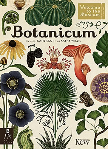 Botanicum: by Kathy Willis and illustrator Katie Scott (Welcome To The Museum)