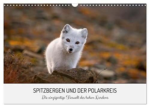 Spitzbergen und der Polarkreis (Wandkalender 2026 DIN A3 quer), CALVENDO Monatskalender