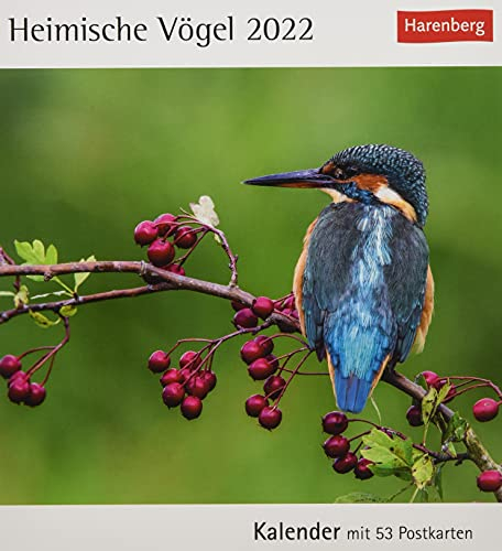 Heimische Vögel Kalender 2022: Kalender mit 53 Postkarten