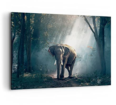 Wandbilder Dekoration Wohnzimmer elefant natur Bilder auf Leinwand 120x80cm Leinwandbild mit Rahmen Schlafzimmer Küche Deko Wand Kunstdruck Art Groß XXL Wanddeko Bild Wall Decor Canvas AA120x80-3972