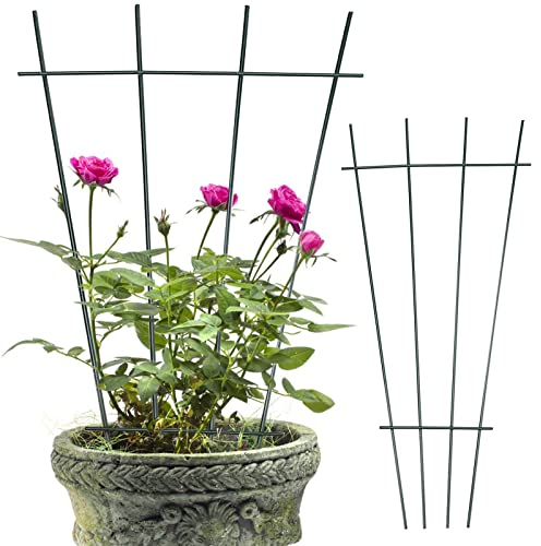 WIVAYE 3Pack Iron Garden Trellis for Climbing Plants, Tall Fan-Shaped Plant Support Trellis, Decorative Ladder Trellises Rustproof Black Coated Metal Potted 40cm/15.7inch