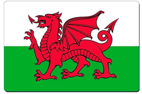 Fridge Magnet Wales Flag 8.5cm x 5.4cm Sleek Gloss Aluminium The Red Dragon