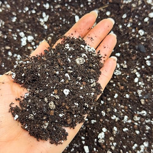 Bonsai Potting Mix with Activated Biochar, Premium Blend for Healthier Trees, Enhanced Nutrient Absorption & Aeration, Ideal for Indoor & Outdoor Bonsai Growth (1L)