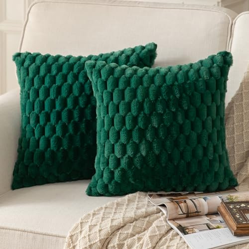 Mandioo 2er Set Dunkelgrün superweichen dekorative Plüsch Kissenbezug Kissenbezüge 60 x 60 cm Wollsamt Dekokissenbezüge Kissenhülle Sofakissen Dekokissen flauschig für Couch Sofa Bett Wohnzimmer