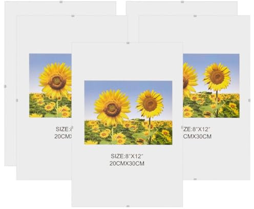MARCOFOTO Set de 5 Marcos de Fotos – Marco Clip de Cristal sin Marco – Portafotos de Vidrio Transparente con Colgador – Diseno Minimalista para Fotos, Diplomas y Certificados – 20x30 cm