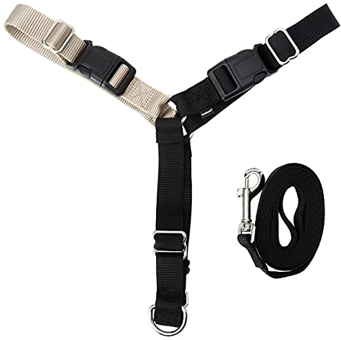 PetSafe Easy Walk Harness, No-Pull Walking Harness for Dogs, Adjustable Fit, Includes 1.8m Lead, Medium/Large-Black