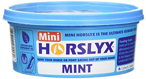 Mini Horslyx Leckmasse, Pferde Nahrungsergänzung, Mint 650g