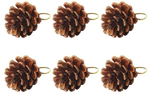 6st Urlaub Tannenzapfen Weihnachtliche Tannenzapfen Dekorationen Mini-tannenzapfen Zum Basteln Weihnachtsbaum Tannenzapfen Masse Mini Pine Cones Hausbedarf Ornamente Gefrostet