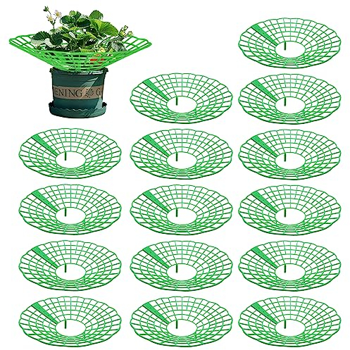 AIMEKE 15 Pièces Support Fraisier, Plastique Amovible Supports pour Fraises Diamètre 30.6 cm Support de Culture de Fraises pour Fraise, Légume, Fleur, Plante (Vert)