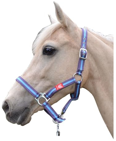 BURI Ambrotii Halfter Nylonhalfter Pferdehalfter verstellbar mit Schnallen Pferd Pony, Farbe:lila, Größe:Cob-Vollblut (145-158 cm)