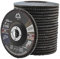 Merryland Dischi Lamellari 125 Ferro Metallo per Smerigliatrice Angolare, 125mm Grana 120 T29 Disco Lamellare 20 Pezzi, Corindone Zirconio Blu Acciaio INOX Dischi Abrasivi, Craft-Line FC1108614-20