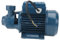 Garneck 370W Elektrische Transferpumpe Gartenpumpe Zur Bewässerung Von Beeten Und Flache Brunnenpumpe Für Garten Und Landwirtschaft Leistungsstark Und Effizient