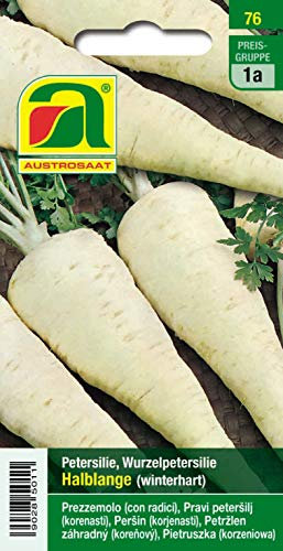 Prezzemolo, prezzemolo radice, semi-lungo (resistente all'inverno)