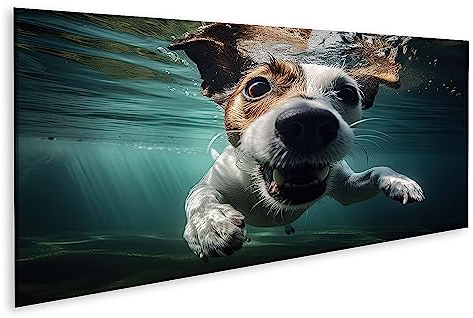 islandburner Bild auf Leinwand Unterwasser Lustiges Foto Jack Russel Terrier Sommerurlaub Haustier Nahaufnahme Bilder Wandbilder Poster JAYP-Pano