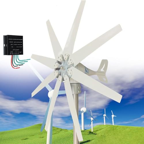 Turbina eolica a otto pale, kit generatore eolico portatile a elica verticale, kit generatore eolico orizzontale ad asse trifase CA 12v 24v 48v da 10000 W, per illuminazione stradale domestica, 24 V