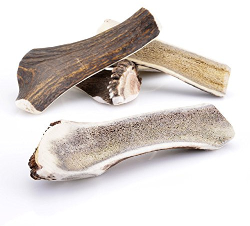Larsson | Halbiertes Geweihstück - Half-Chew | M | Kauartikel 80-120g