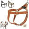 DOGISSIMI Hundegeschirr für kleine und mittlere Hunde, Verstellbares und ergonomisches Hundegeschirr aus echtem Leder, handgefertigt in Italien, Leder-Hundegeschirr (L, Leder)