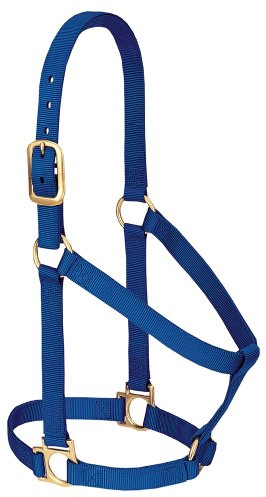 Weaver Leather Basic Non-Adjustable Nylon Horse Halter, Blue, 1 Large Horse