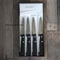 AU SABOT Coffret de 4 Couteaux d'Office ABS Lame 8cm Made in France. Compatible Lave-Vaisselle