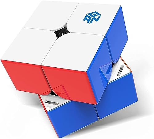 GAN 251 M Leap, 2x2 Magnetischer Speedcube stickerlos 251 Mini Cube 63 Magnete Puzzle Spielzeug für Anfänger:innen (UV-beschichtet Primär Innenleben)