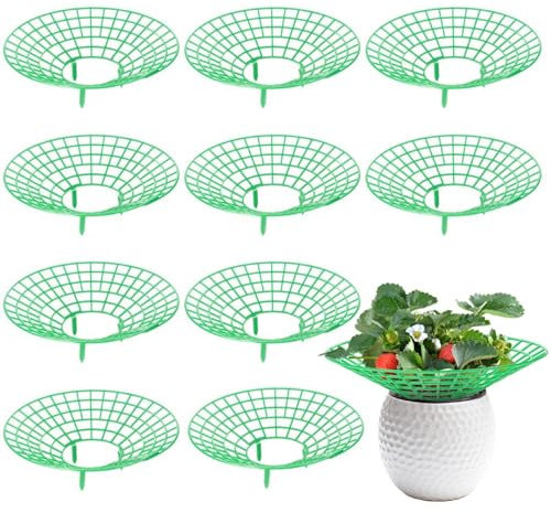 Zwenjuan Erdbeerstützen Ständer,10 Stück Balkon Erdbeernetze,Abnehmbares Pflanzenregal für Erdbeeren Pflanzen Erdbeeren vor Staub und Schnecken schützen,für Erdbeeren Gemüse Tomaten