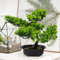 Aizhazha Künstlicher Bonsai Baum, 35x28 cm Bonsai Baum Künstlich, Kunstpflanze, Fake Plant Deko, Plastik Pflanze Kunstbaum, Artificial Plants, Plastikpflanzen für Wohnzimmer, Büro, Zimmer Deko