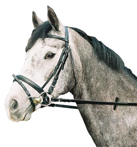 jw reitsport Trense schwedisches Reithalfter Vollblut schwarz