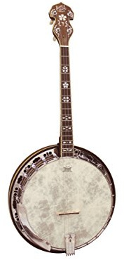 Barnes & Mullins BJ504BWGT Empress 4 String Short Scale Tenor Banjo