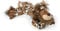 SIGIKID 39637 Cheeky Cheetah BeastsTown Leopard für Mädchen Jungen und Erwachsene Kuscheltier empfohlen ab 3 Jahren Mehrfarbig/Leopard
