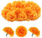 GEFIRE 30 Pezzi Capolini di Garofano Finto, Fiori Artificiali Testa Finta, Facile Manutenzione, Bellezza Duratura Adatto per la Decorazione di Feste, Decorazioni per la Casa di Nozze (Arancia)