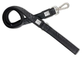 Max & Molly Kurzleine Hund 120cm, Matrix 2.0 Schwarz/L Führleine für Hunde Gepolstert & Reflektierend – Komfort für deinen treuen Begleiter