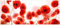 Wallario Glasbild Leuchtende Mohnblumen - Rote Mohnblumenblüten - 50 x 125 cm Wandbilder Glas in Premium-Qualität: Brillante Farben, freischwebende Optik