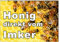 Werbeschild HONIG direkt vom Imker A3 (42x30 cm) Imkerei Werbung Schild Bienen
