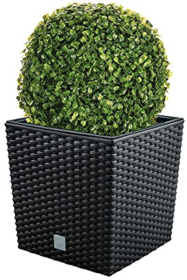 WellHome Lot de Pots de Fleurs Rato, Anthracite 32 l avec Support pour Plantation 32 x 32 x 32,5 cm + Boule de buis