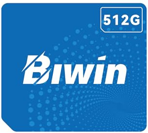 BIWIN CL100 Mini SSD 512GB, PCIe Gen4×2 NVMe 1.4, Read Speed Up to 3700MB/s SLC Cache, 15.00 × 17.00 × 1.40 mm, IP68 Dustproof & Waterproof for Gaming Office Data Storage