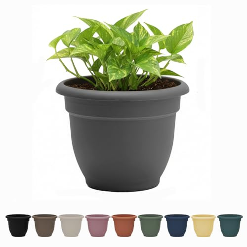 Bloem Ariana 16 Charcoal Round Self-Watering Resin Planter Pot - Rolled Rim Indoor and Outdoor Gardening Planter