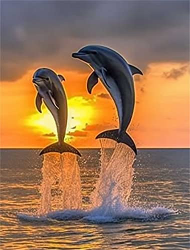 Zariocy 5D Diamond Painting ZubehörTier Delfin, DIY Diamant Painting Malerei Bilder Sonnenuntergang Sonnenaufgang Stickerei Malerei Crystal Strass Stickerei für Haus, Wand Dekorationen 30×40cm