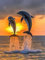 Zariocy 5D Diamond Painting ZubehörTier Delfin, DIY Diamant Painting Malerei Bilder Sonnenuntergang Sonnenaufgang Stickerei Malerei Crystal Strass Stickerei für Haus, Wand Dekorationen 30×40cm