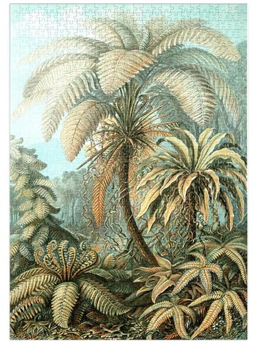 MyPuzzle Farne (Filicinae) - Kunstformen in der Natur, Vintage Art Poster, Ernst Haeckel - Premium 1000 Teile Puzzle - MyPuzzle Sonderkollektion von Havana Puzzle Company