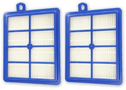 DispRA Filtres Hepa H12 H13 compatibles avec Philips FC9172 FC9087 FC9083 FC9258 FC9261 FC8031 compatibles avec Les pièces d'aspirateur Robot Electrolux (Color : SMT073-2PCS)