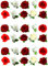 30 Beautiful Red & White Mixed Rose Flower Cake Toppers Edible Decorations