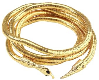 BEIBXHQQ Snake Necklace and Bracelet - Bendable Gold Medusa Fashion Jewelry Suitable for Men and Women