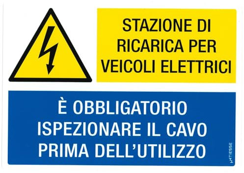 TIESSE - adesivo ISPEZIONARE CAVO DI RICARICA PER VEICOLI ELETTRICI - Vinile adesivo ad alte prestazioni - Dimensione: 210x148 mm (A5) - MADE IN ITALY