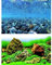 Wave A8011574 Fotorück Vision, Doppelseitig im Blister, 60 x 150 cm
