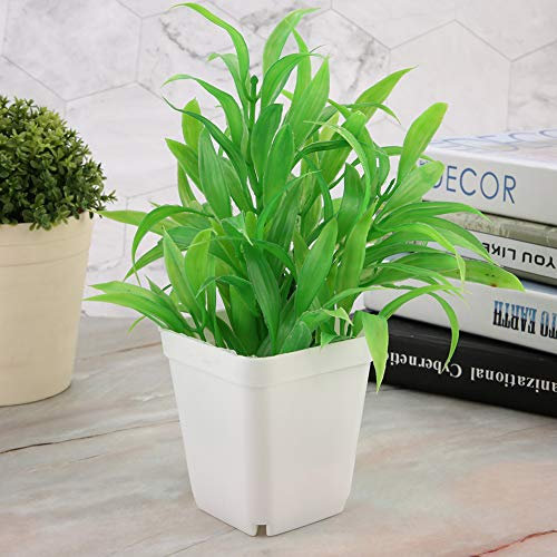 20 Piezas Macetas de Plástico para Plantas Bandeja de Semillas de Suculentas Pequeñas Ideal para Jardineros