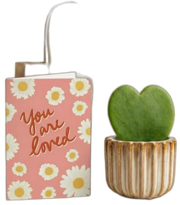 Set de Regalo con Planta Hoya Kerrii, Maceta y Bolsa Kraft 15x12x5 cm