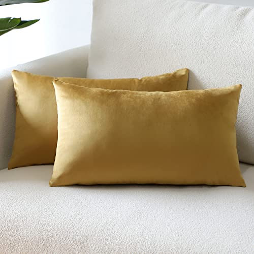 Sungeek 2er Set Samt Kissenbezüge, Dekorativ Zierkissenbezüge Weich Kissenbezug Dekokissen Sofakissen Couchkissen Deko Bezug Kissenhülle für Sofa Schlafzimmer Wohnzimmer (30x50 cm, Gold)